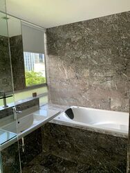 Suites @ Cairnhill (D9), Apartment #460648681